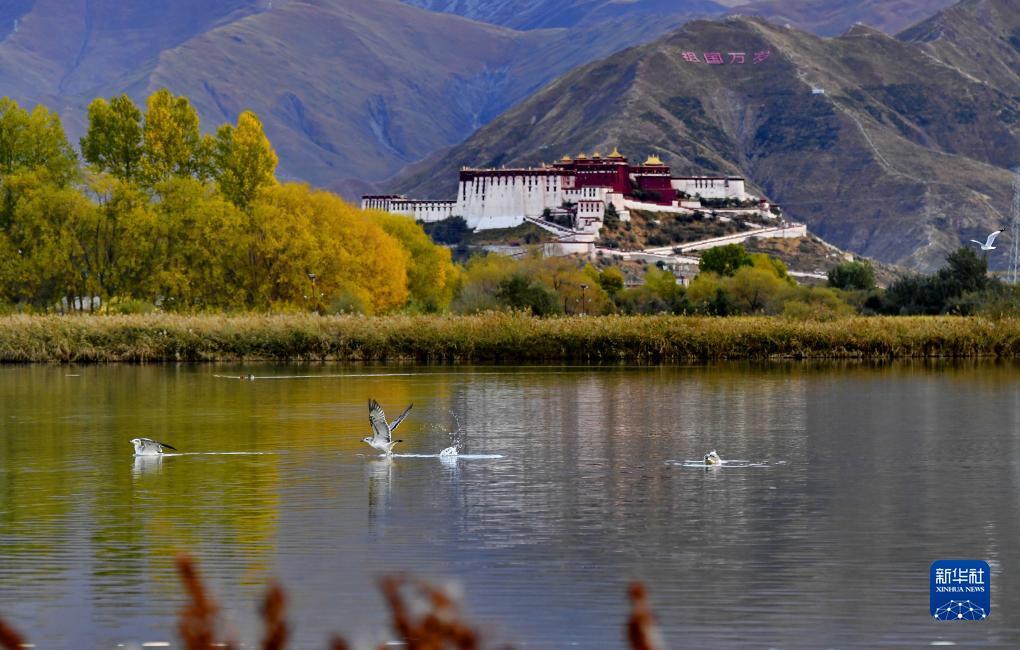 宝马娱乐